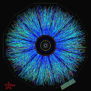 Star Detector at RHIC