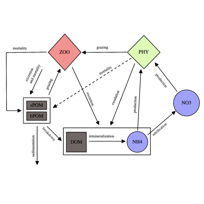 Biogeochemical modelling