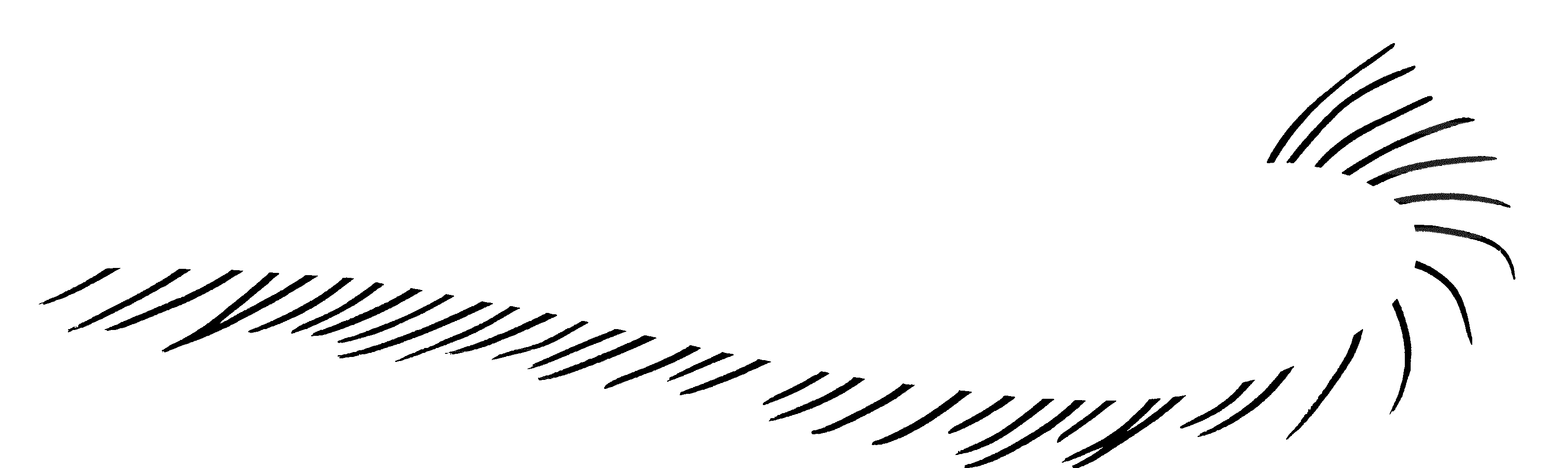 Illusory contour forming at inner edges of black marks