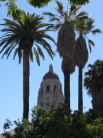 Stanford