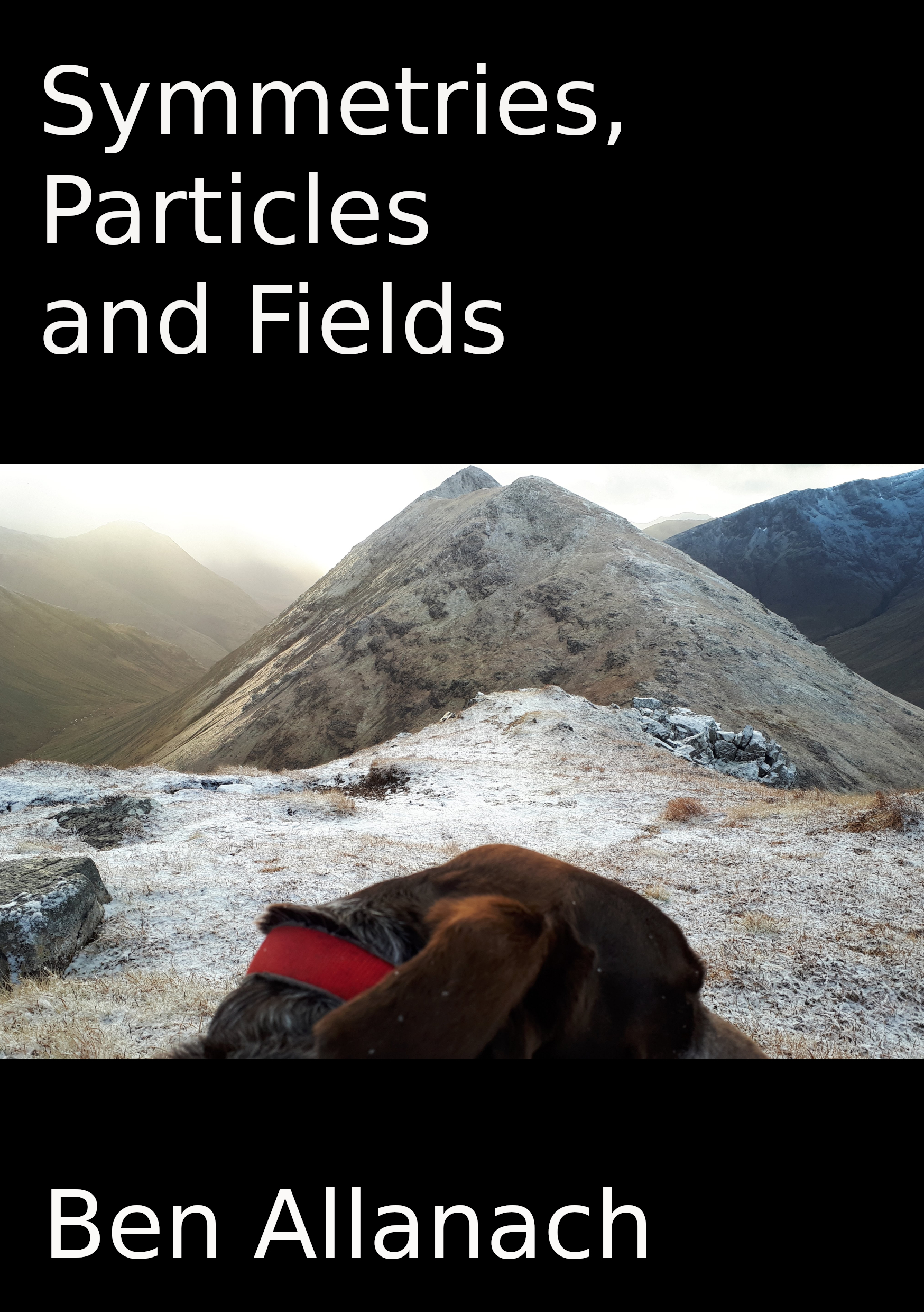 Symmetries,
										Particles
										and
										Fields
