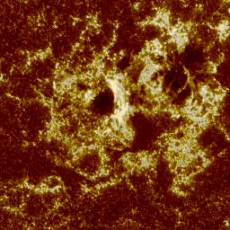 tr_205034_1600_thumb.gif