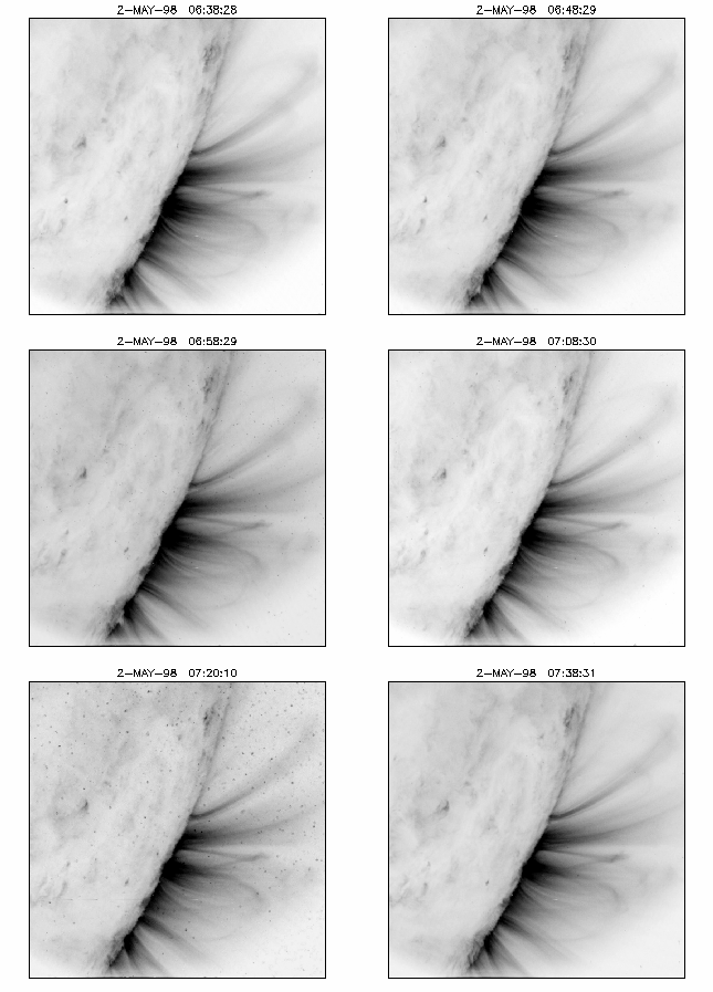 trace_171_seq1.gif