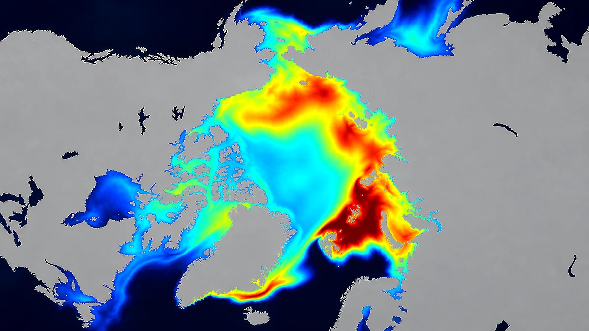 Scientific data visualization centred on the Arctic
