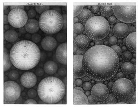 The wonderful imagination of Thomas Wright